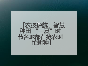 农技护航、智慧种田 “三夏”时节各地都在抢农时 忙耕种