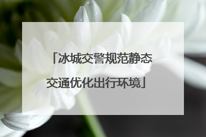 冰城交警规范静态交通优化出行环境
