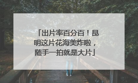 出片率百分百！昆明这片花海美炸啦，随手一拍就是大片