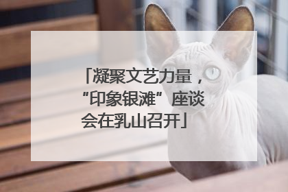 凝聚文艺力量，“印象银滩”座谈会在乳山召开