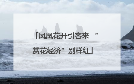 凤凰花开引客来 “赏花经济”别样红