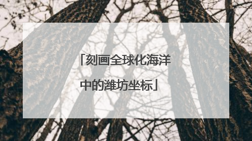刻画全球化海洋中的潍坊坐标