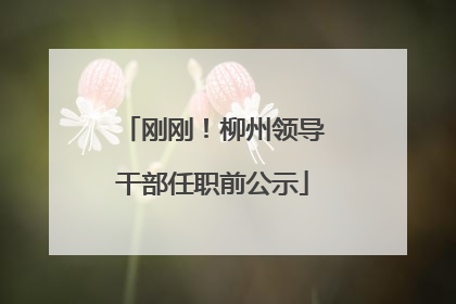 刚刚！柳州领导干部任职前公示