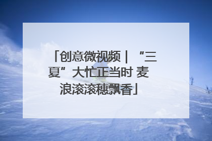 创意微视频｜“三夏”大忙正当时 麦浪滚滚穗飘香
