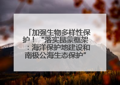 加强生物多样性保护！“落实昆蒙框架：海洋保护地建设和南极公海生态保护”主题论坛将举办