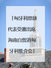 匈牙利恩捷代表受邀出席海南自贸港匈牙利推介会
