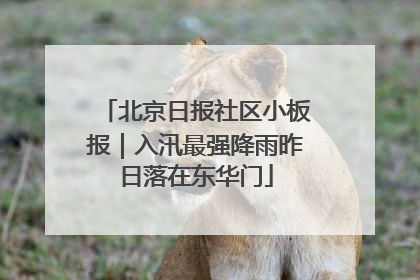 北京日报社区小板报｜入汛最强降雨昨日落在东华门
