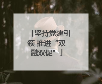 坚持党建引领 推进“双融双促”