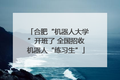 合肥“机器人大学”开班了 全国招收机器人“练习生”