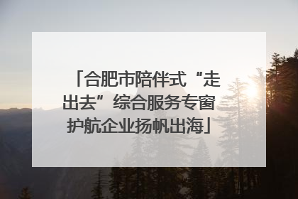 合肥市陪伴式“走出去”综合服务专窗护航企业扬帆出海