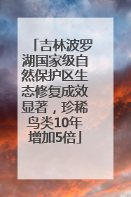 吉林波罗湖国家级自然保护区生态修复成效显著，珍稀鸟类10年增加5倍