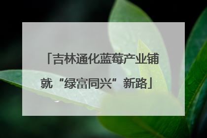 吉林通化蓝莓产业铺就“绿富同兴”新路