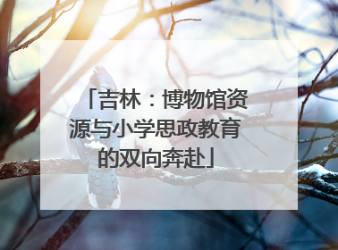吉林：博物馆资源与小学思政教育的双向奔赴