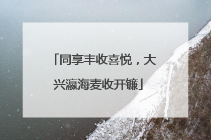 同享丰收喜悦，大兴瀛海麦收开镰