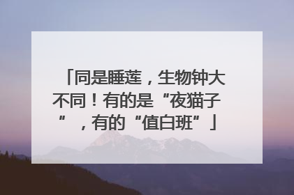 同是睡莲，生物钟大不同！有的是“夜猫子”，有的“值白班”