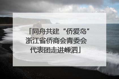同舟共建“侨爱岛” 浙江省侨商会青委会代表团走进嵊泗