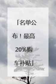 名单公布！最高20%购车补贴