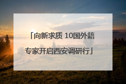 向新求质 10国外籍专家开启西安调研行