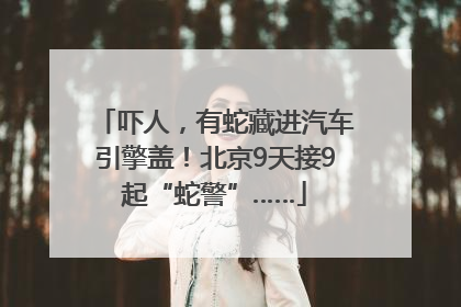 吓人，有蛇藏进汽车引擎盖！北京9天接9起“蛇警”……