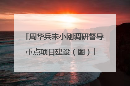 周华兵未小刚调研督导重点项目建设（图）