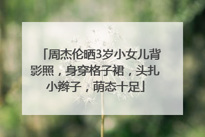 周杰伦晒3岁小女儿背影照，身穿格子裙，头扎小辫子，萌态十足