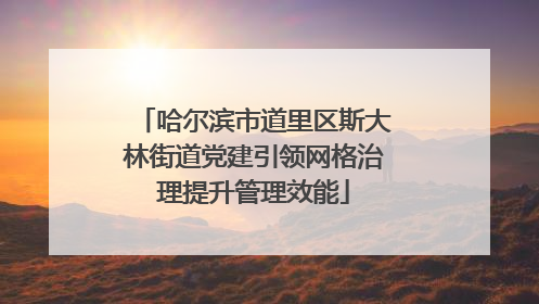 哈尔滨市道里区斯大林街道党建引领网格治理提升管理效能