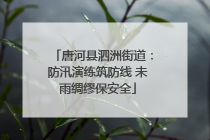 唐河县泗洲街道：防汛演练筑防线 未雨绸缪保安全