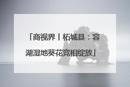 商视界丨柘城县：容湖湿地葵花竞相绽放