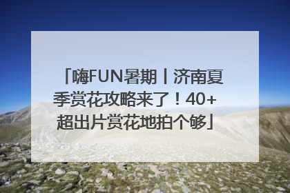 嗨FUN暑期丨济南夏季赏花攻略来了！40+超出片赏花地拍个够