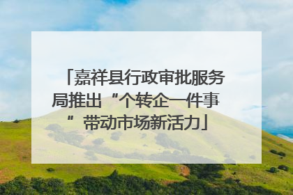 嘉祥县行政审批服务局推出“个转企一件事”带动市场新活力