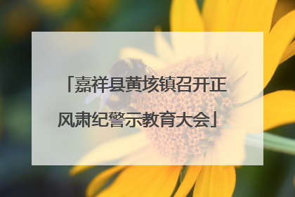 嘉祥县黄垓镇召开正风肃纪警示教育大会