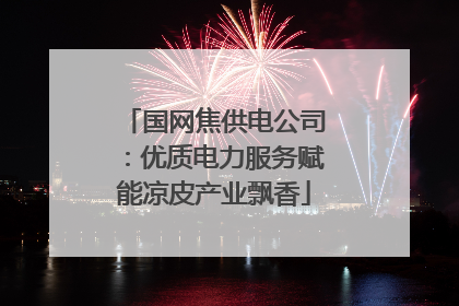 国网焦供电公司：优质电力服务赋能凉皮产业飘香