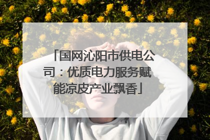 国网沁阳市供电公司：优质电力服务赋能凉皮产业飘香