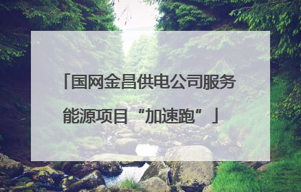 国网金昌供电公司服务能源项目“加速跑”