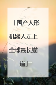 国产人形机器人走上全球最长猫道