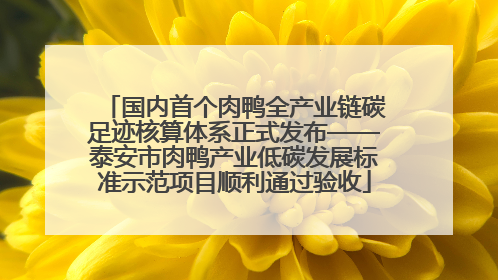 国内首个肉鸭全产业链碳足迹核算体系正式发布——泰安市肉鸭产业低碳发展标准示范项目顺利通过验收