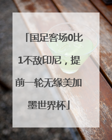 国足客场0比1不敌印尼，提前一轮无缘美加墨世界杯