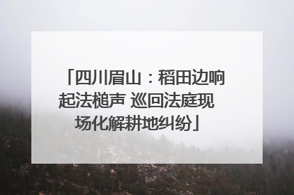 四川眉山：稻田边响起法槌声 巡回法庭现场化解耕地纠纷
