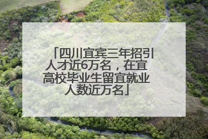 四川宜宾三年招引人才近6万名，在宜高校毕业生留宜就业人数近万名