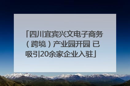 四川宜宾兴文电子商务（跨境）产业园开园 已吸引20余家企业入驻