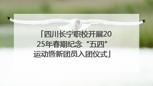 四川长宁职校开展2025年春期纪念“五四”运动暨新团员入团仪式