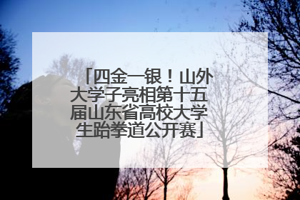 四金一银！山外大学子亮相第十五届山东省高校大学生跆拳道公开赛