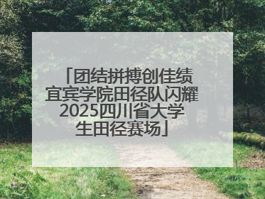 团结拼搏创佳绩 宜宾学院田径队闪耀2025四川省大学生田径赛场