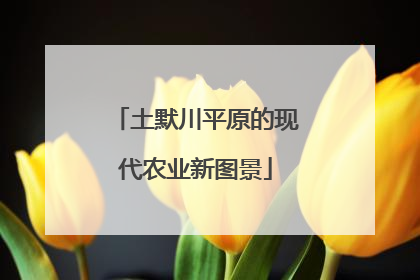 土默川平原的现代农业新图景