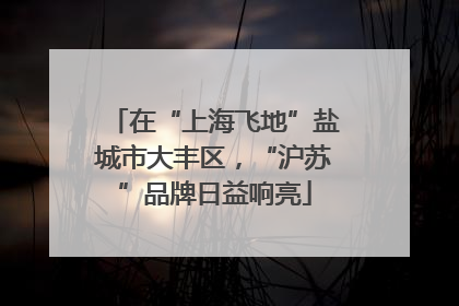 在“上海飞地”盐城市大丰区，“沪苏”品牌日益响亮