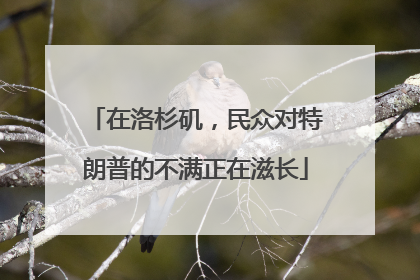 在洛杉矶，民众对特朗普的不满正在滋长
