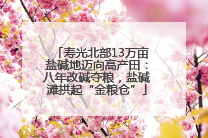 寿光北部13万亩盐碱地迈向高产田：八年改碱夺粮，盐碱滩拱起“金粮仓”