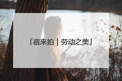 宿来拍｜劳动之美