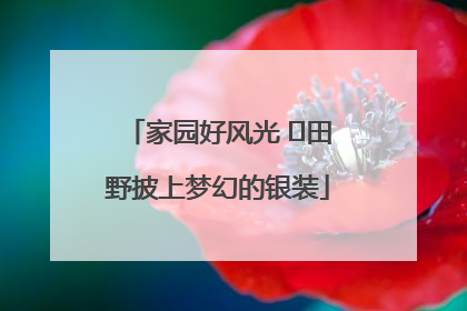 家园好风光 ⎮田野披上梦幻的银装