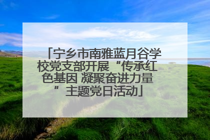 宁乡市南雅蓝月谷学校党支部开展“传承红色基因 凝聚奋进力量”主题党日活动